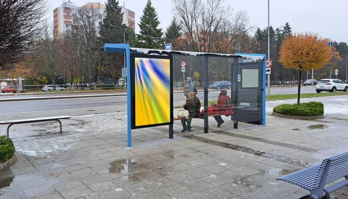 1024291